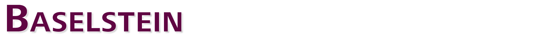 Baselstein Logo