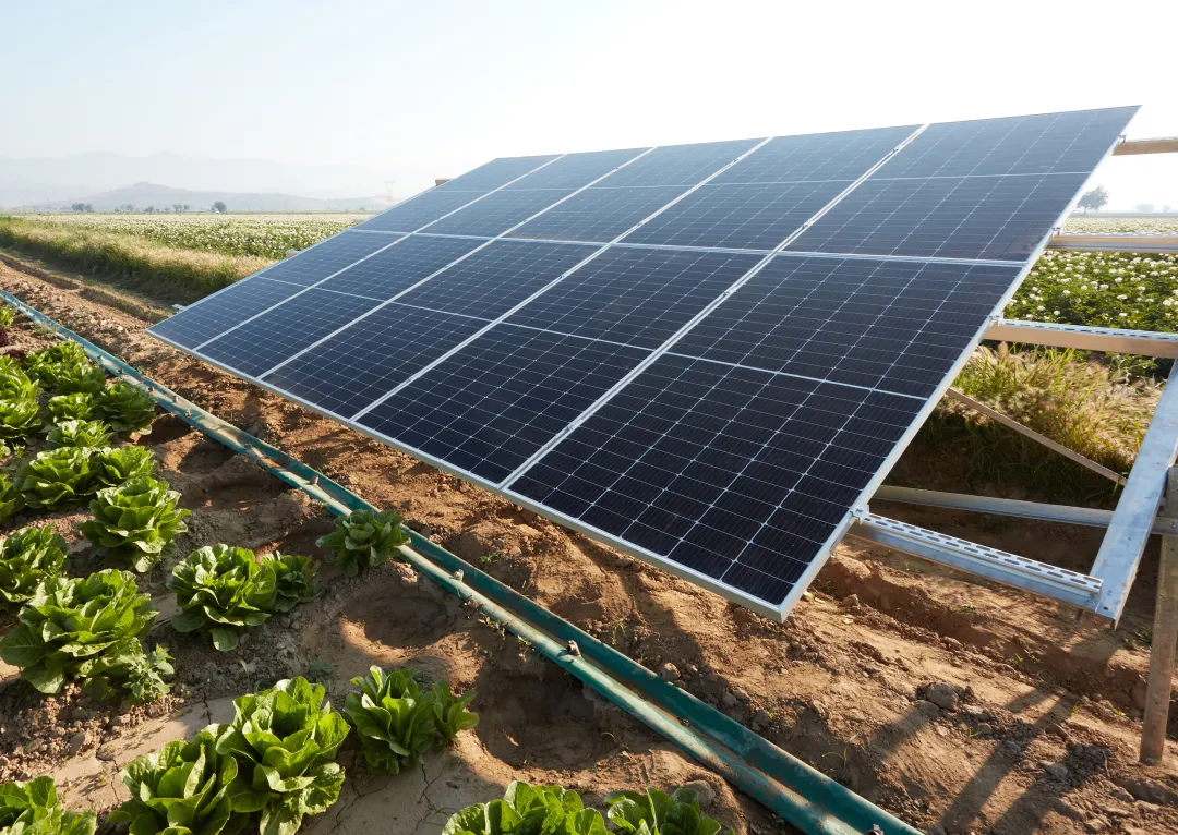 Agrar-PV-Anlage