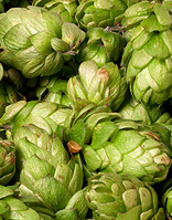 Einsiedler Bier