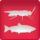 Aquakultur und Insekten