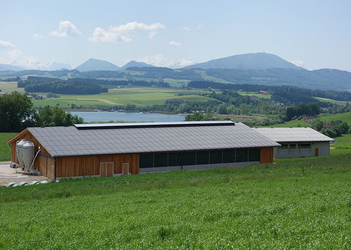 Stalleinrichtung aus eigener CNC-Fertigung