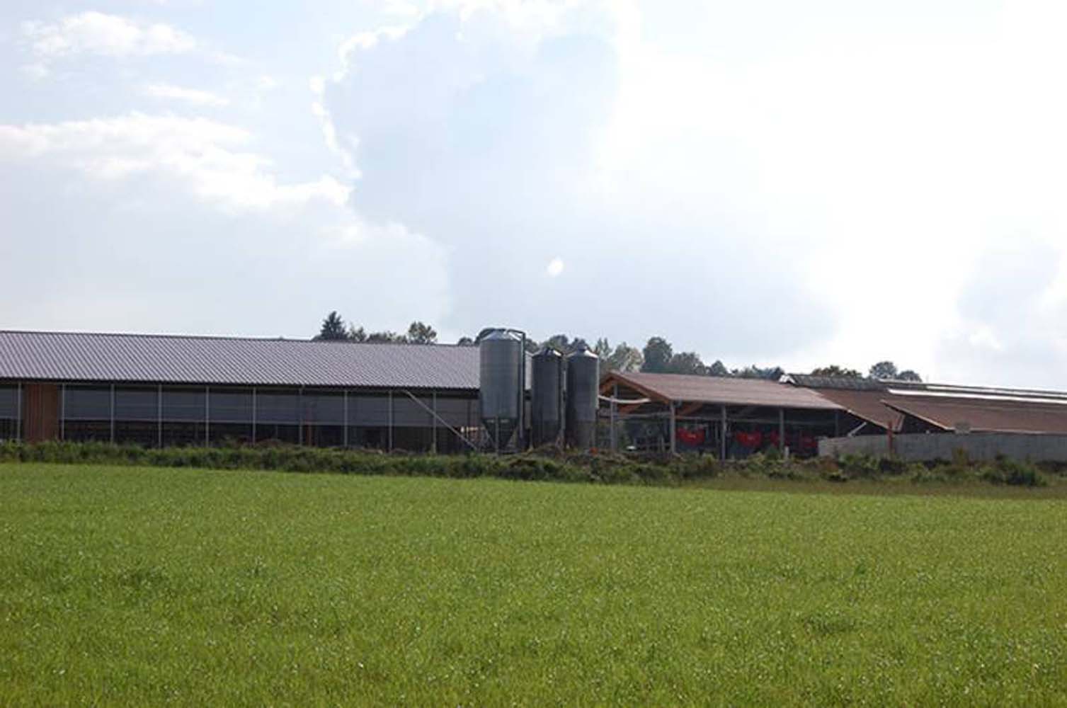 Stallanlage mit Fütterungs- und Einstreutechnik
