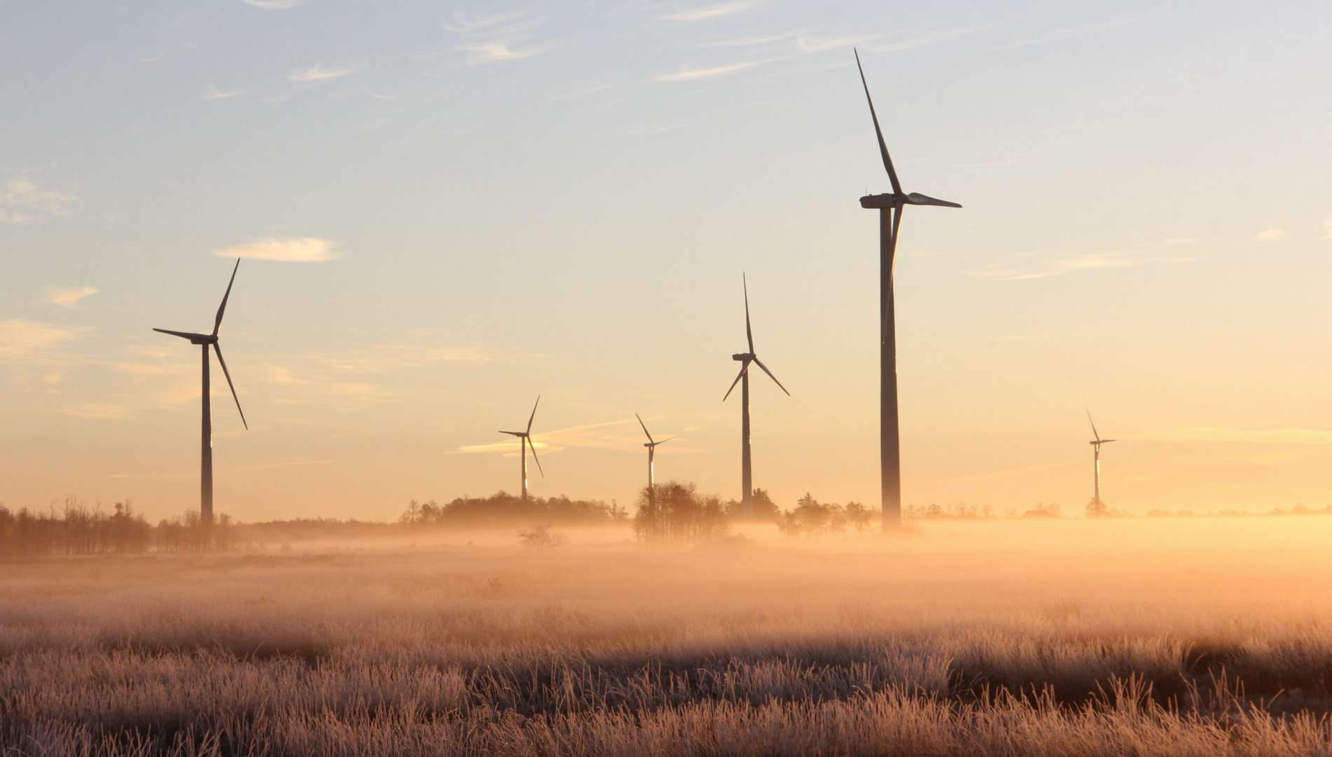 Tengelmann Energie – Standort Essen