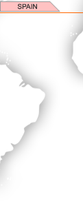 Globale Vertriebsstruktur