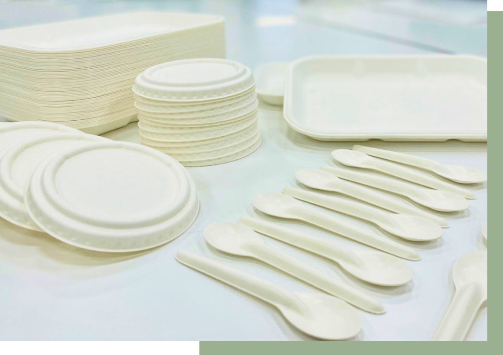 PulPac™ Technology – Trockenformverfahren