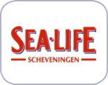 Memoeuro® Souvenirschein