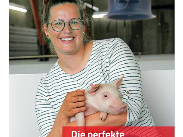 Klima- und Lüftungslösungen für Huhn und Schwein