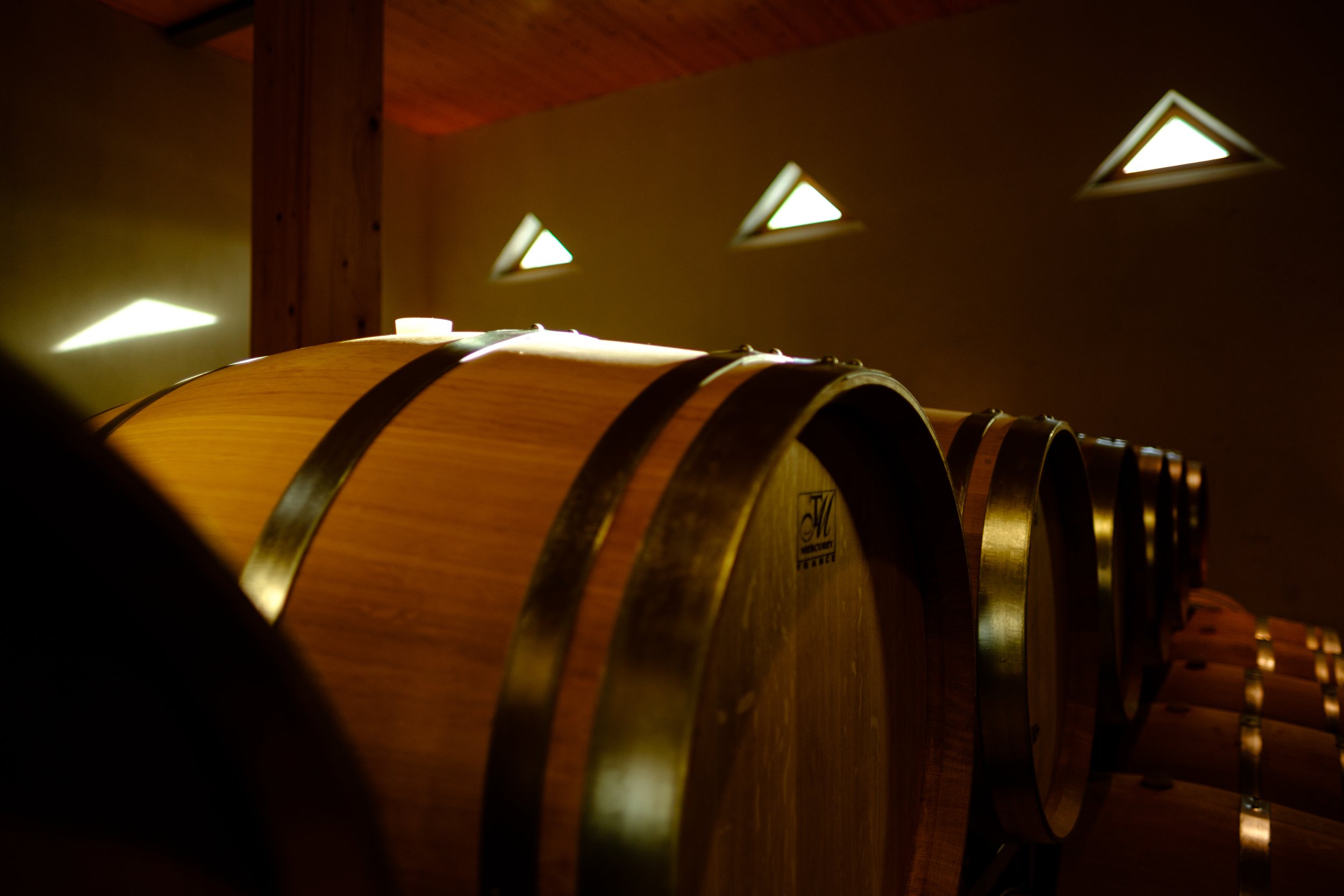 Weingut Eichenwald in der Ried Gfanger, Horitschon