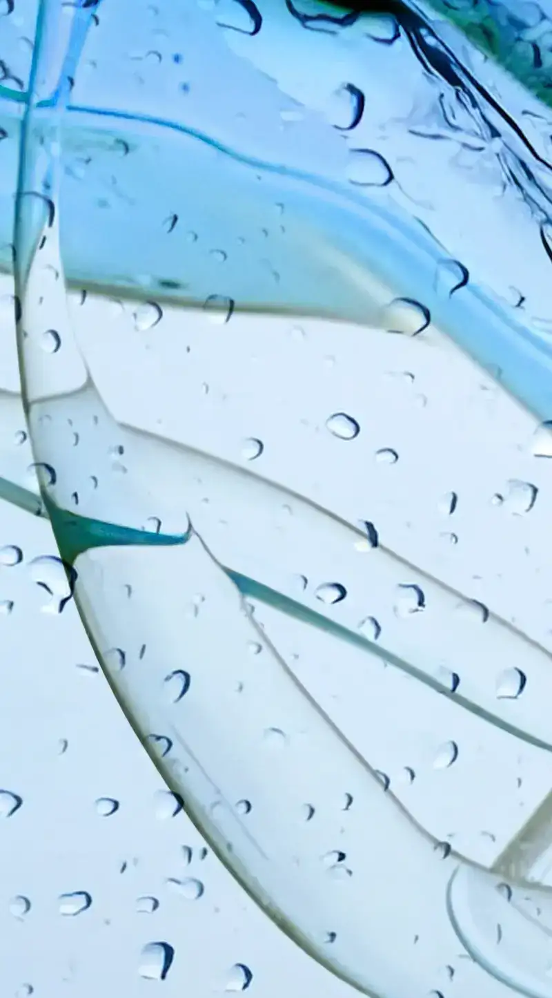 Wasserverteiler