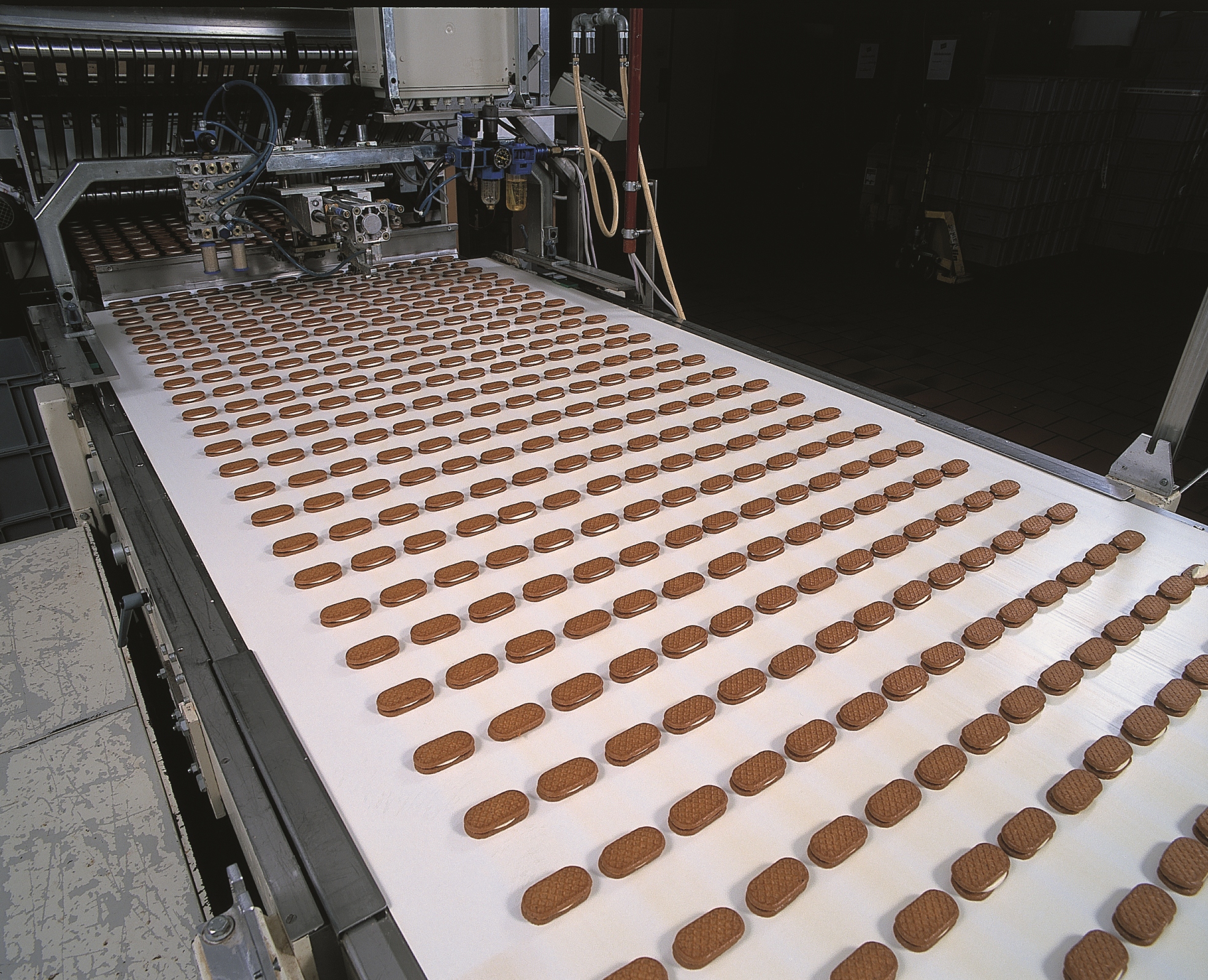 Produkteinsatz in der Lebensmittelindustrie