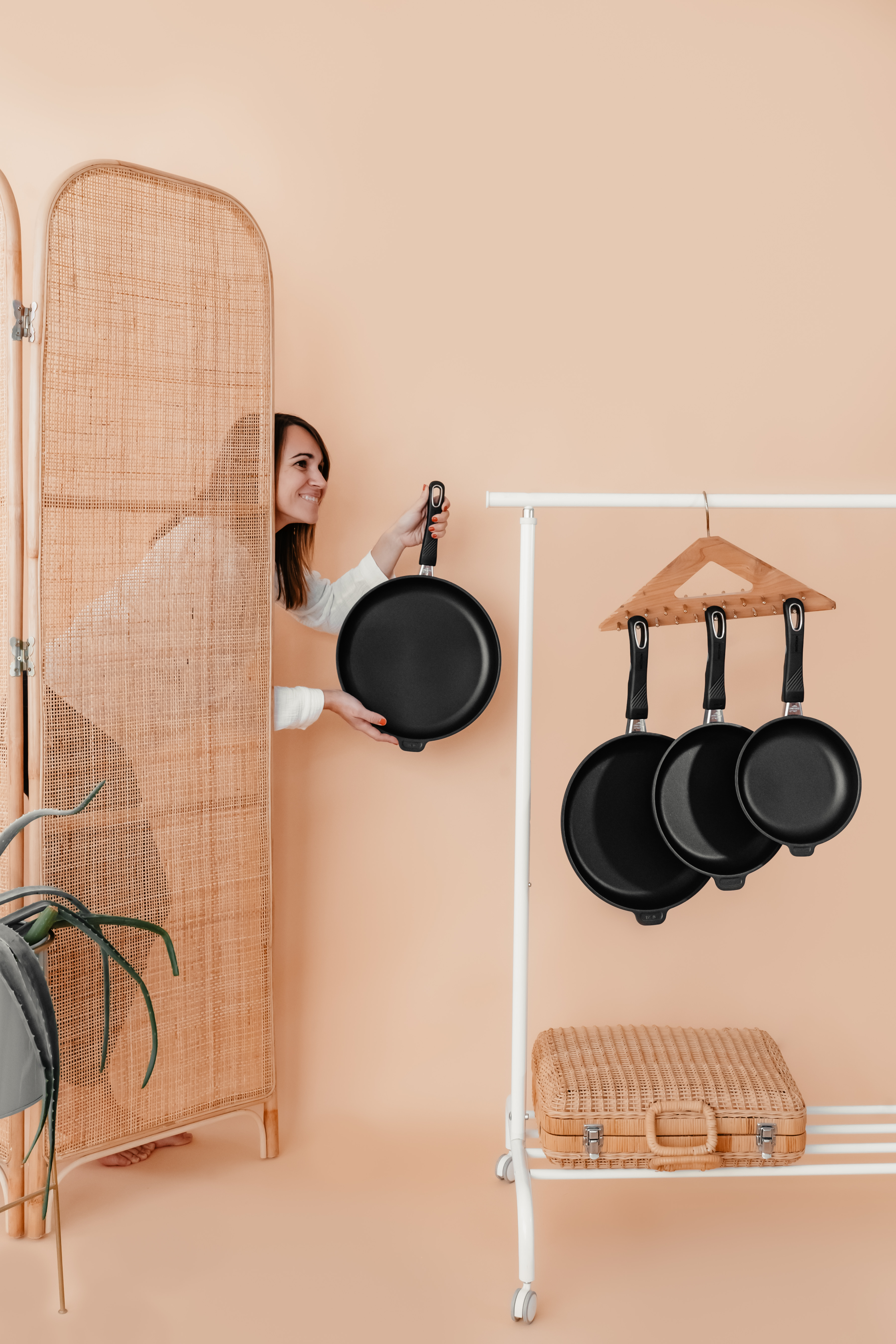 Selection of Gastrolux pans