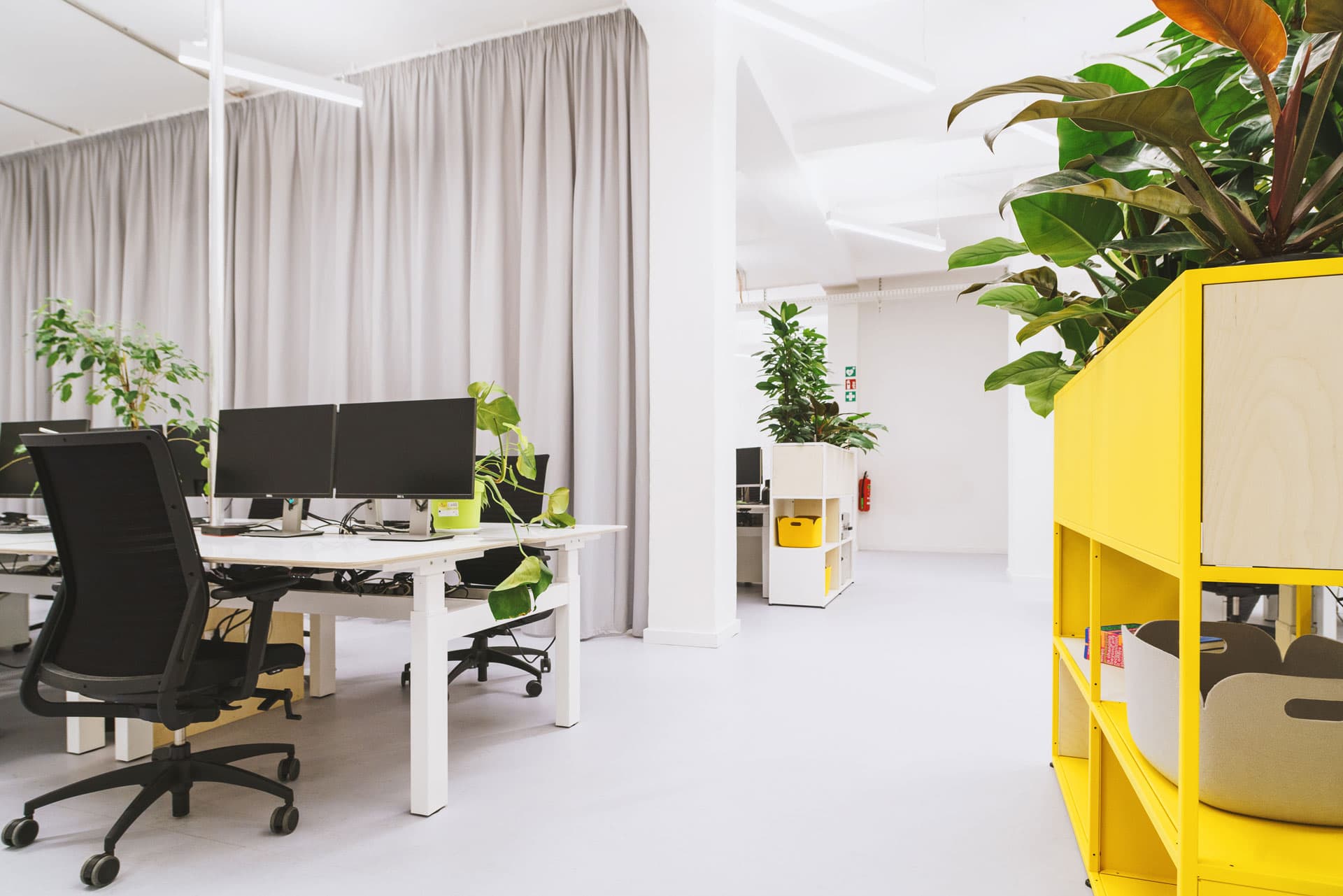Luftreiniger bei Studio CARCASSE