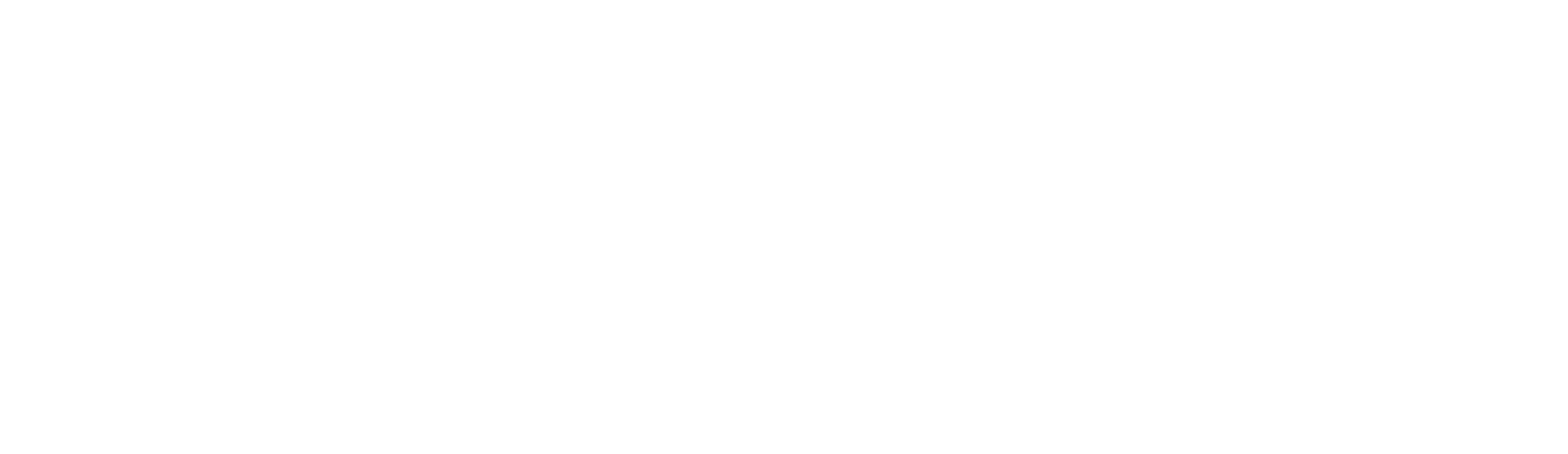 SIEVEKE Logo