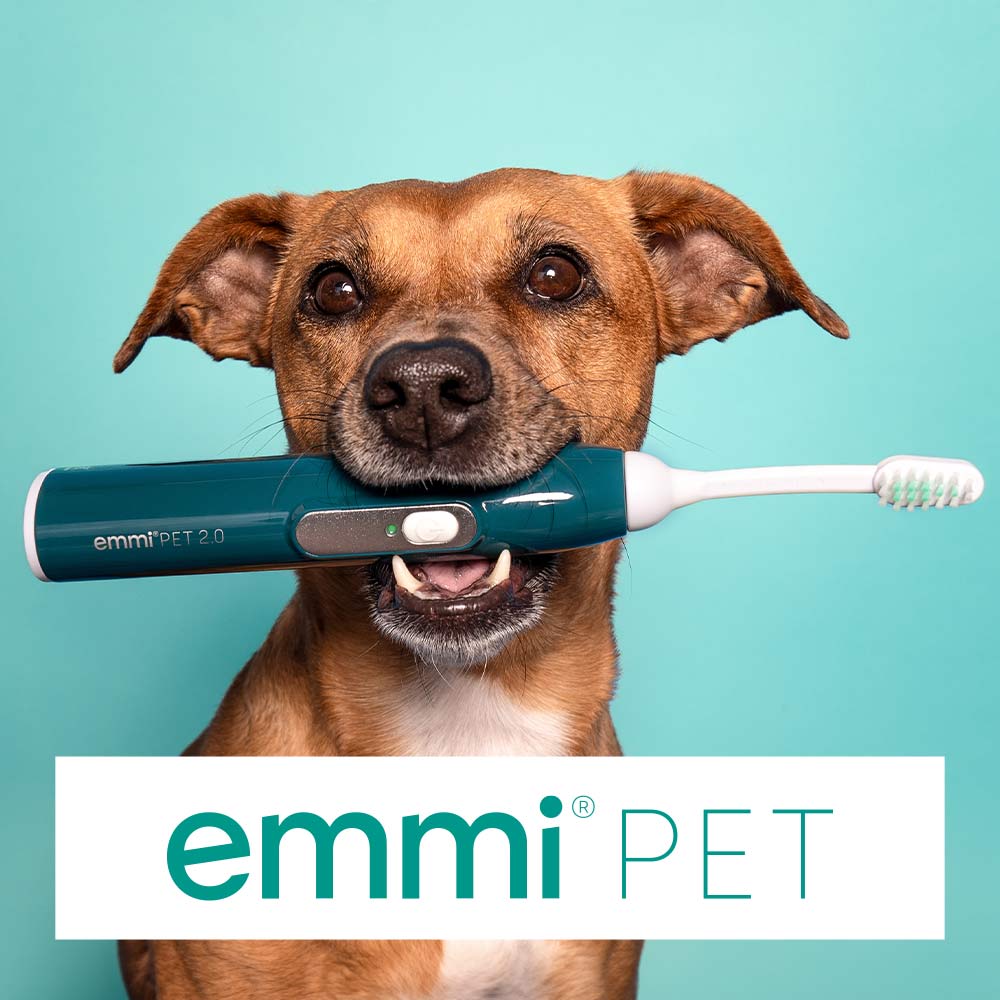 Produkte für Tiergesundheit