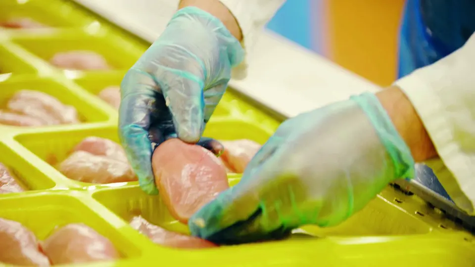 Hygienekontrollen im Produktionsbetrieb