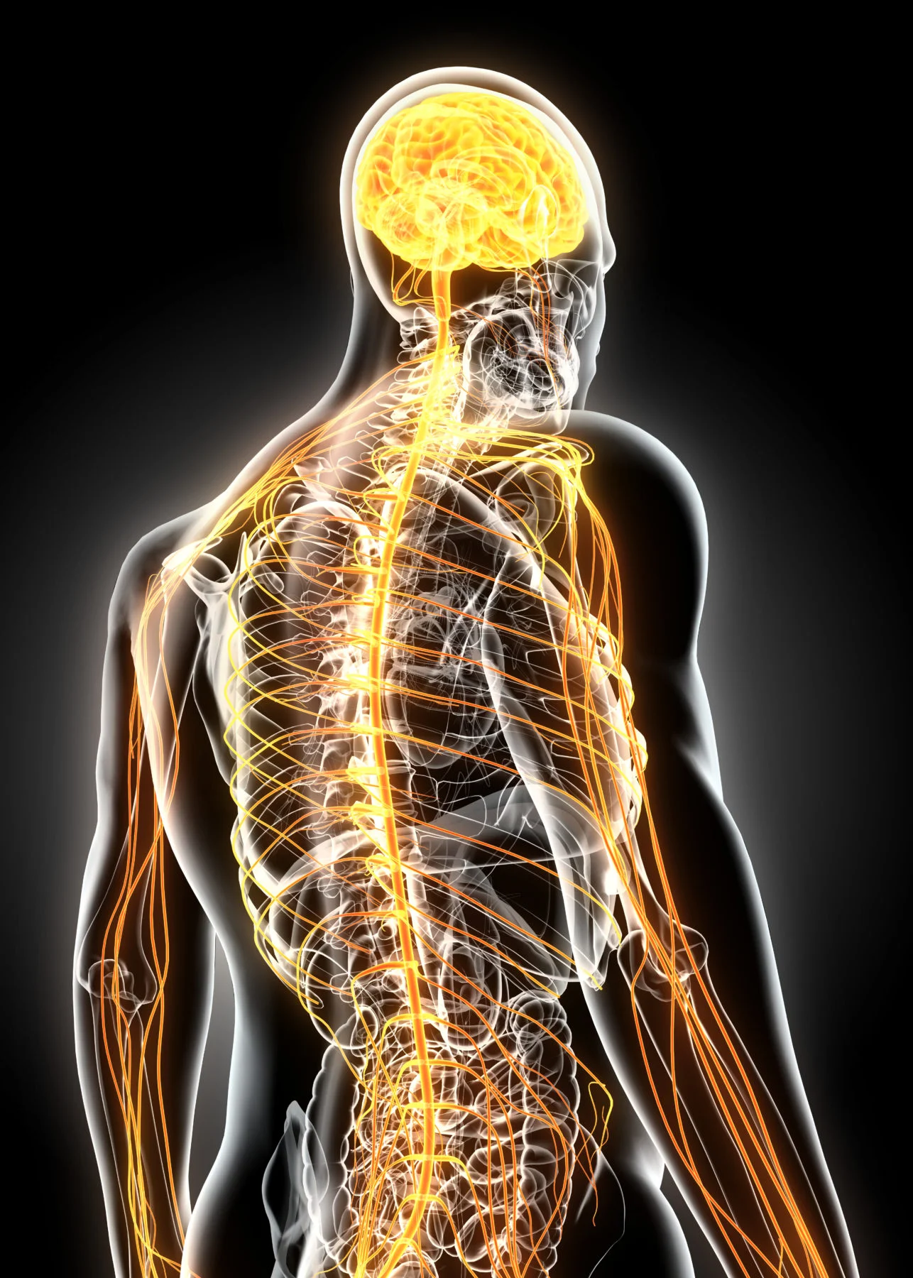 Anwendung Neurologie