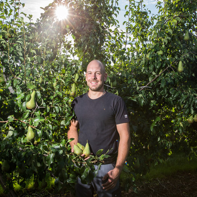 Birnen-Produzent im Anbaugebiet