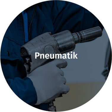 Pneumatik-Dichtsysteme