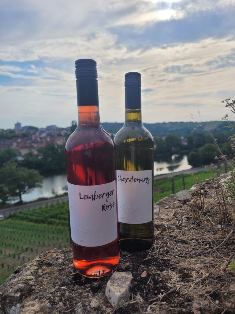 Eindrücke vom Weinberg am Cannstatter Zuckerle