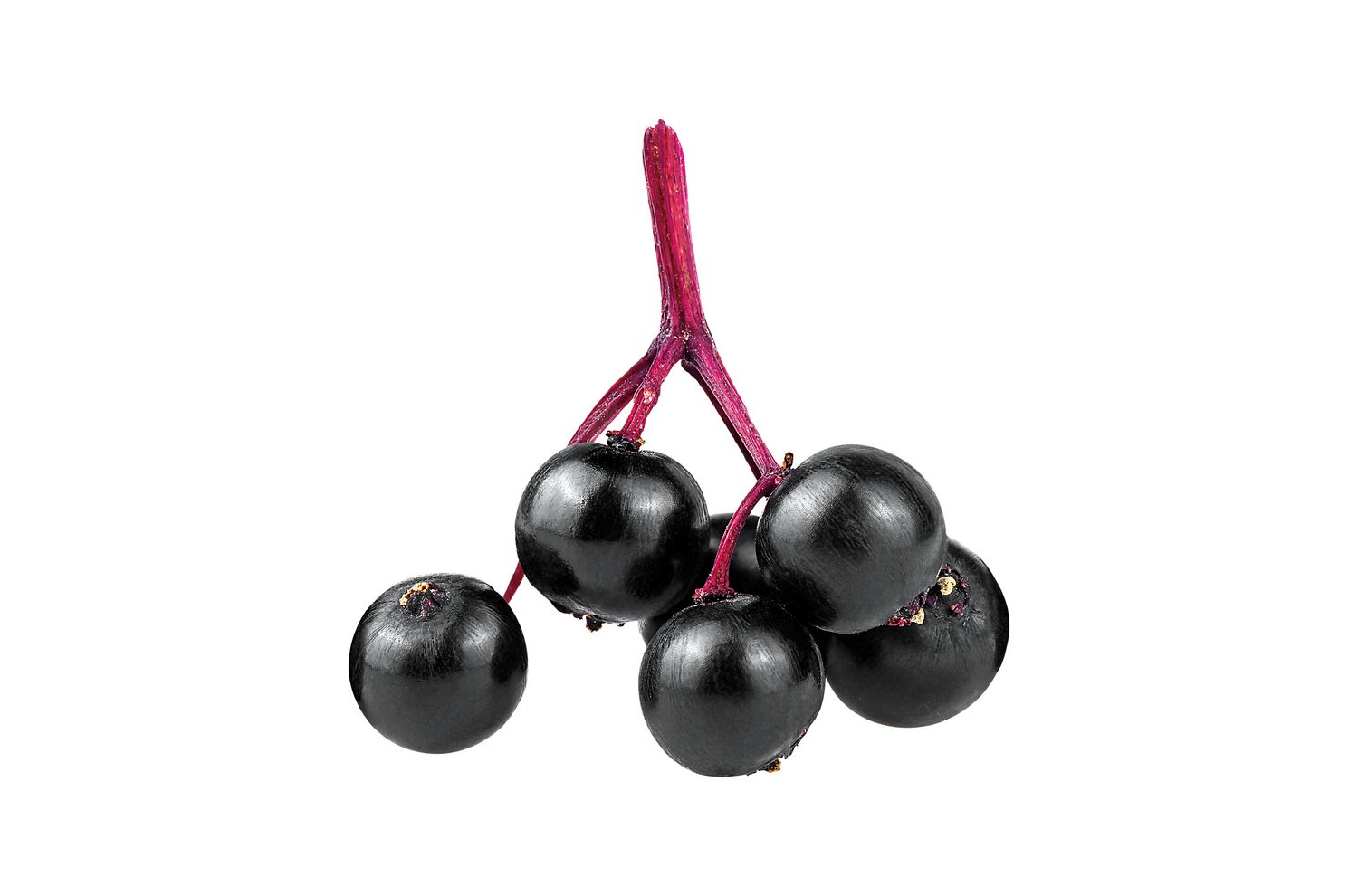 Holunderbeeren