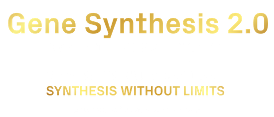 Gene Synthesis 2.0 und Plasmid DNA Preparation