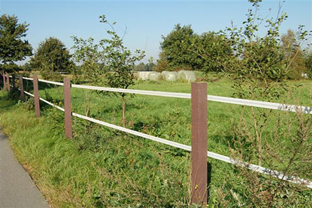 Zaun Landwirtschaft