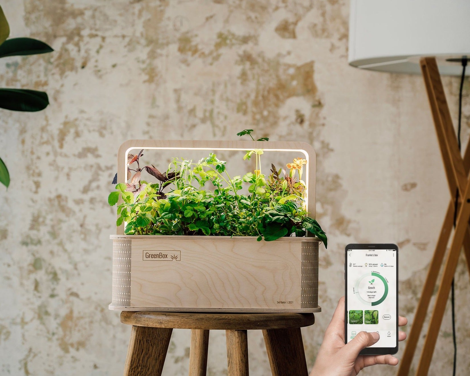 GreenBox im Wohnraum