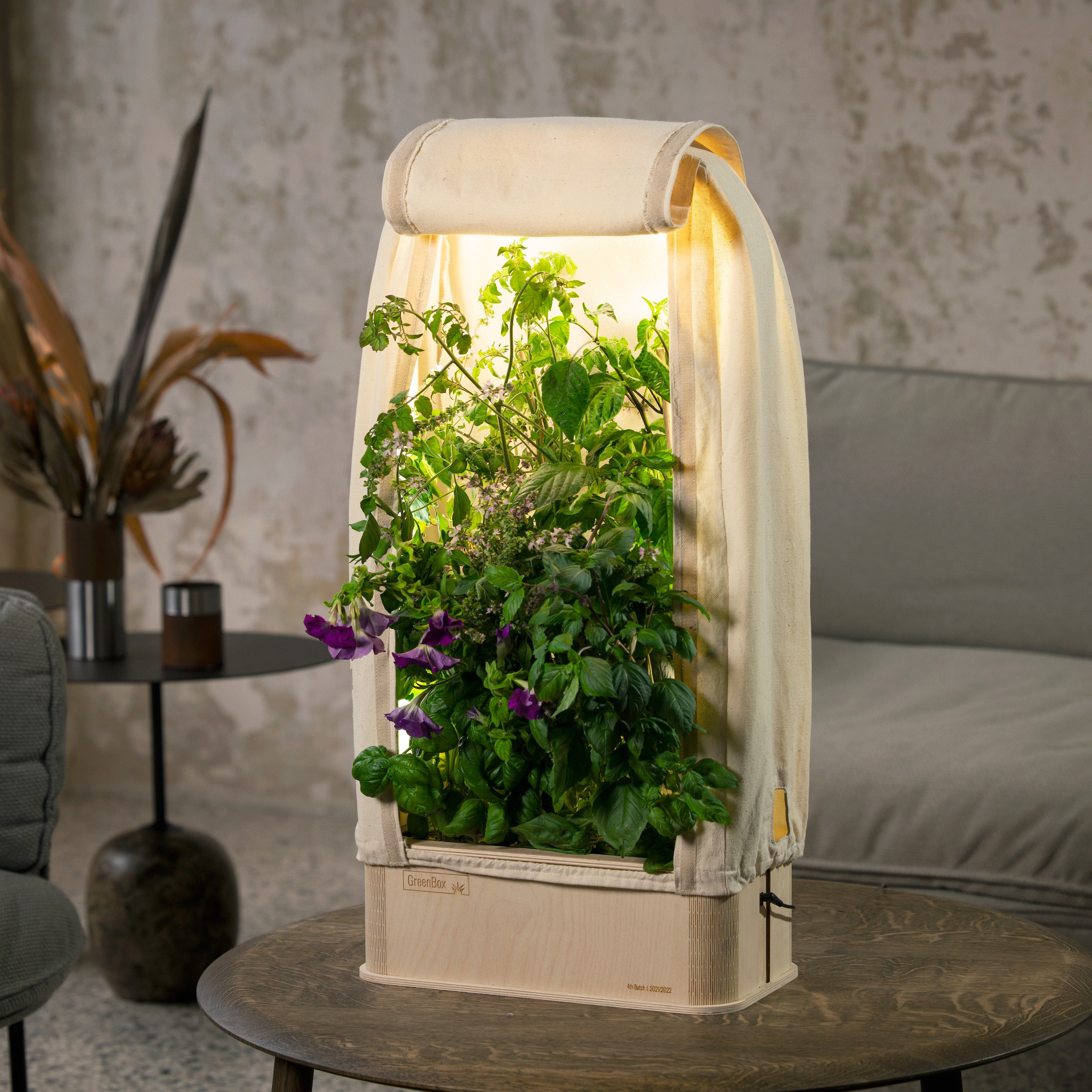 GreenBox Plus