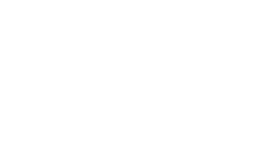 Partnermarke Wisdom Motor