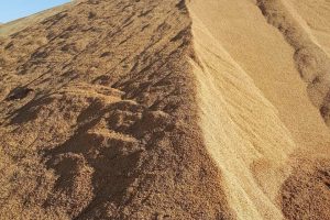 Olive pomace