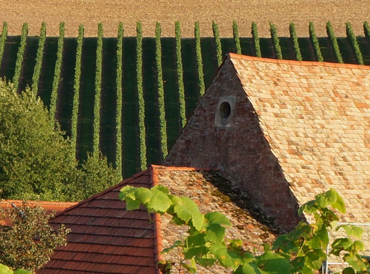 Hofansicht der Geistermühle