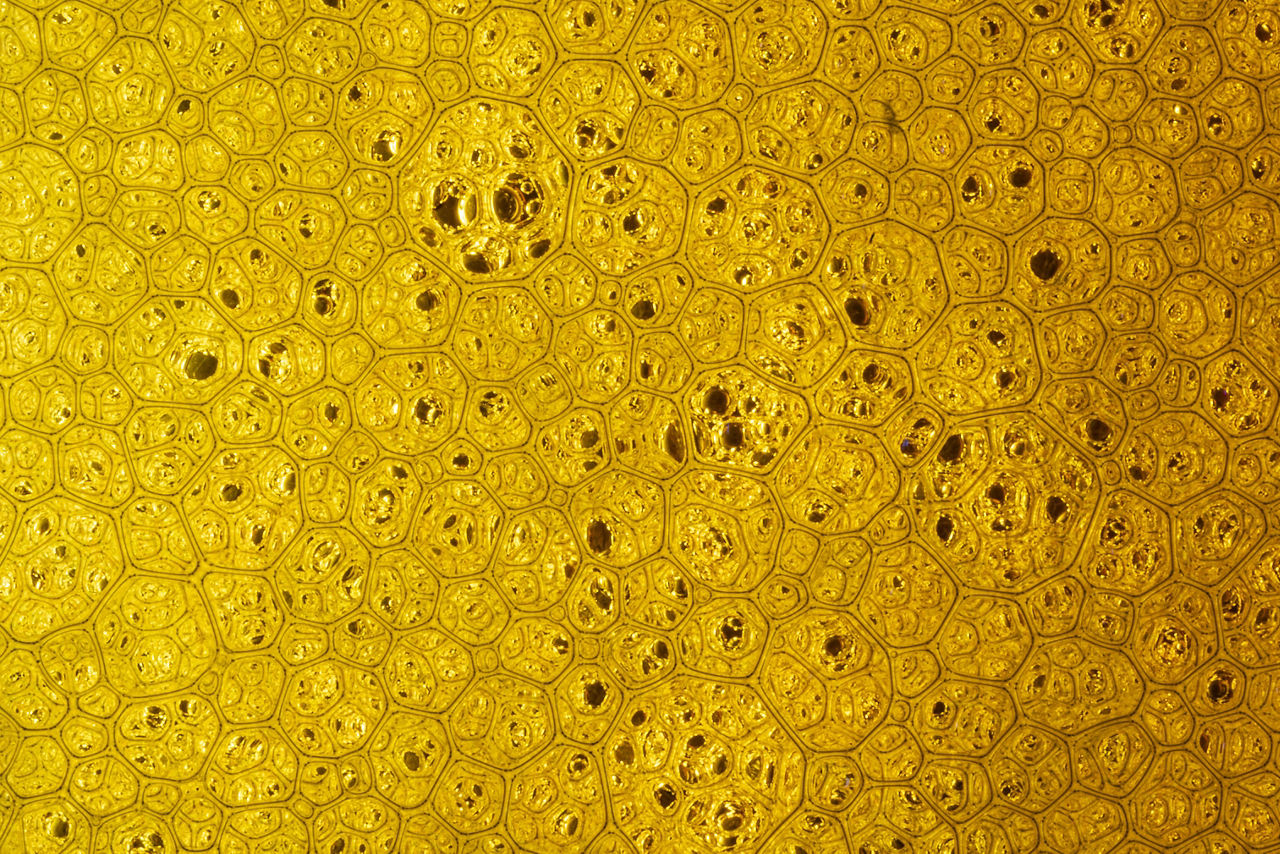 Rhamnolipid-Biosurfactants für Reinigungs- und Pflegemittel