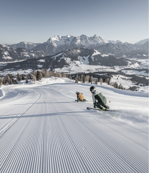 Ski Service (Schleifen, Strukturieren, Wachsen)