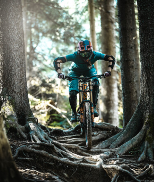 Bike Service (Schaltung, Bremsen, Federelemente, E-Bikes)