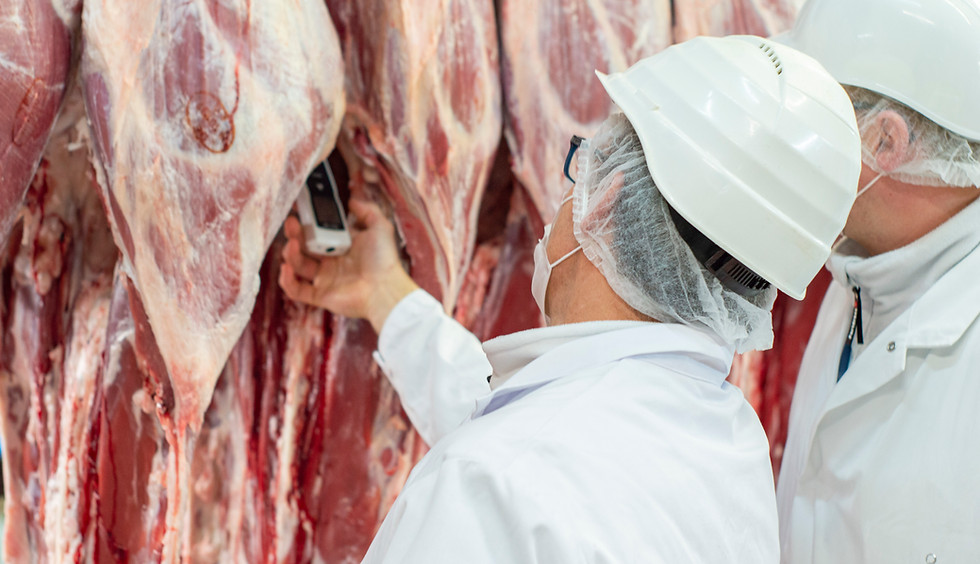 Produktion in Lindern