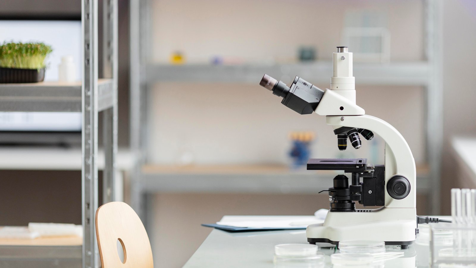 E. coli Detection Kit
