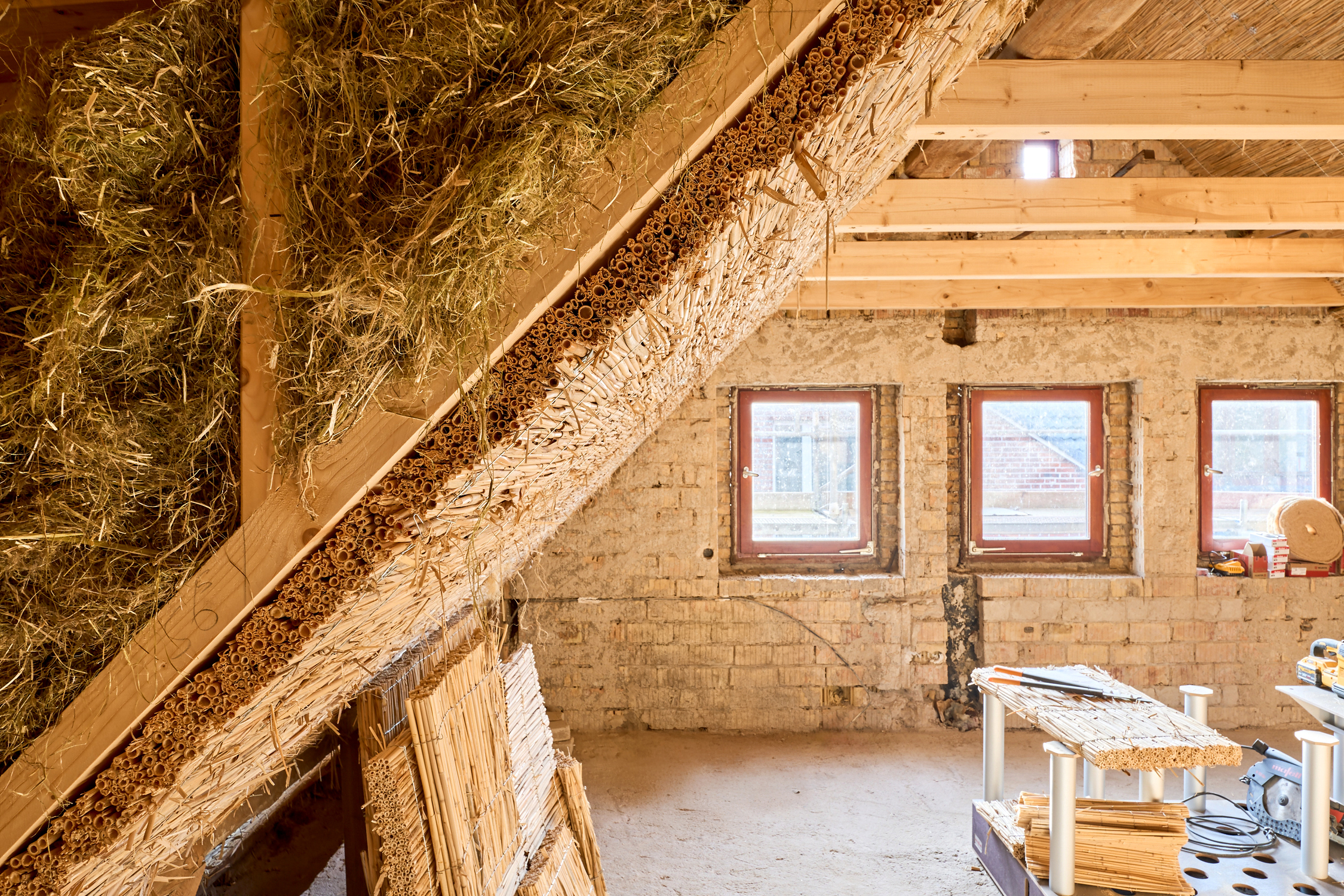 Naturbaustoffe aus Reet im Innenausbau