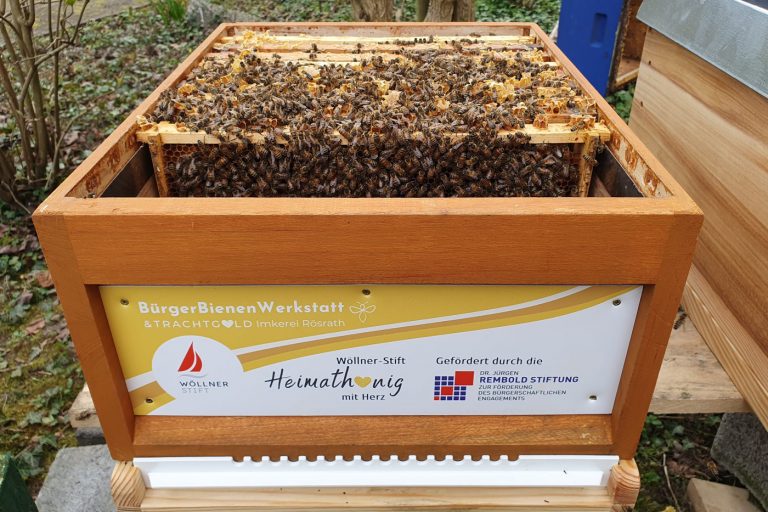 Bienenstöcke im Sinnesgarten