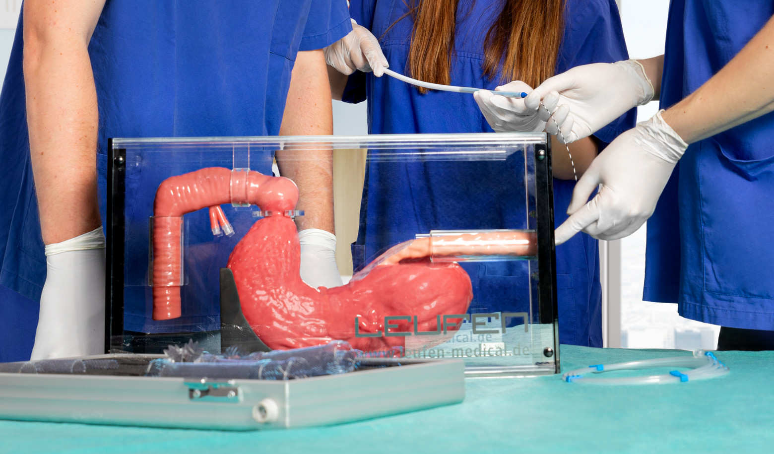 Simulation der Platzierung eines aixstent am Modell