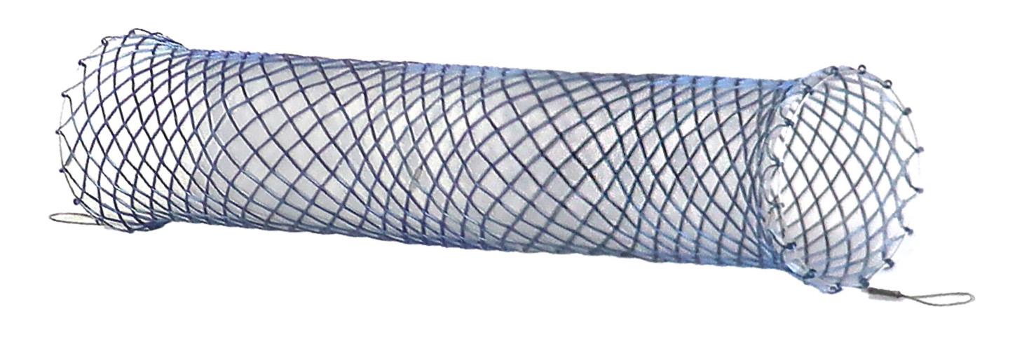 Danis Stent (ELLA-CS)