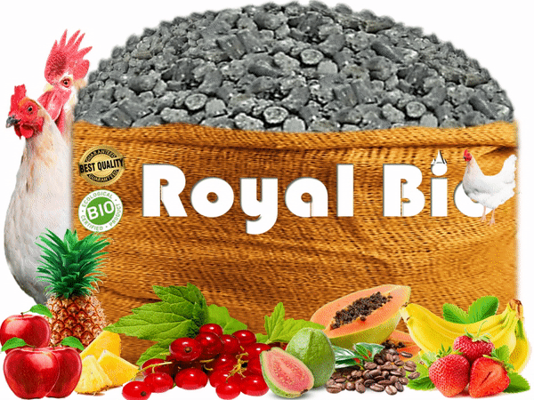 Royal Bio Logo