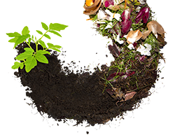 100% Bio Waste transformation