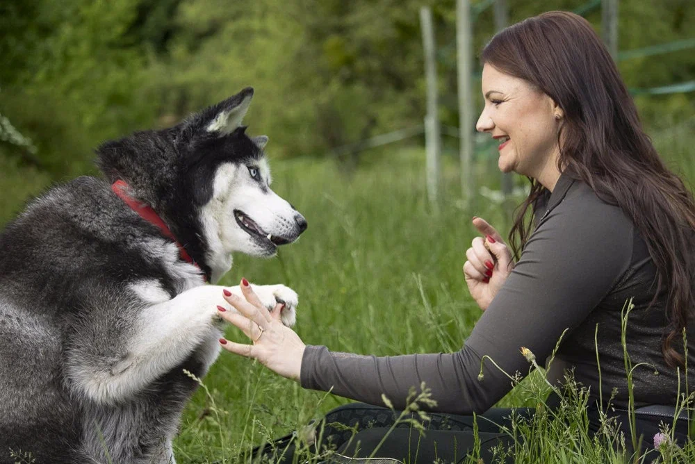 Kräutersäfte und Pflegeprodukte für Hunde