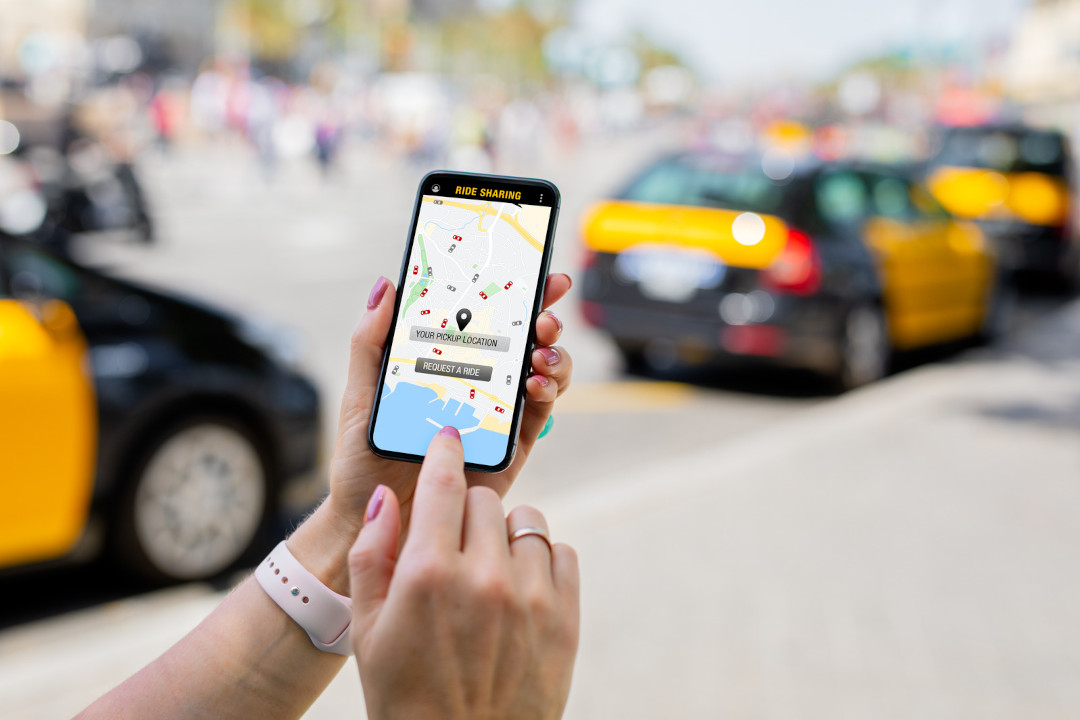 Fahrzeugortung mit Ortungsportal