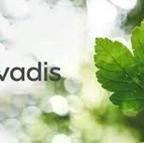 EcoVadis Bronze Award 2023