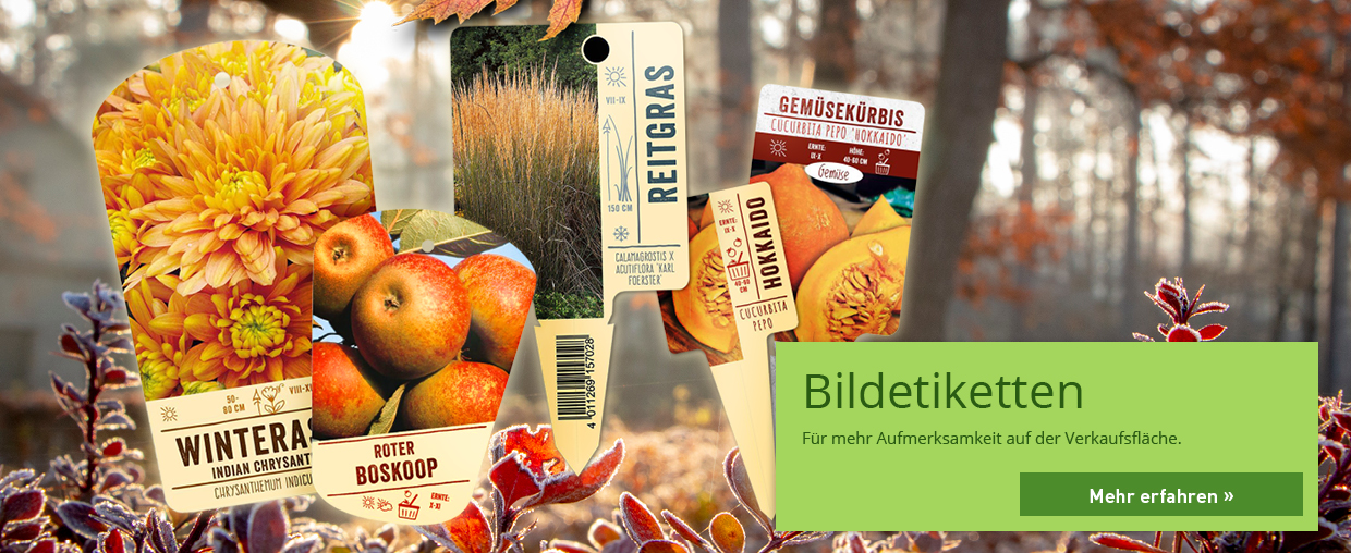 Güse – Fertigung