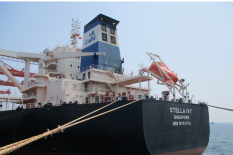 BOLLFILTER Automatic an Bord der MV Stella Ivy