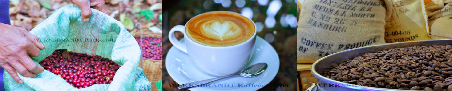 Kaffeekirschen im Sack, Latteart