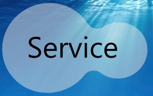 Service