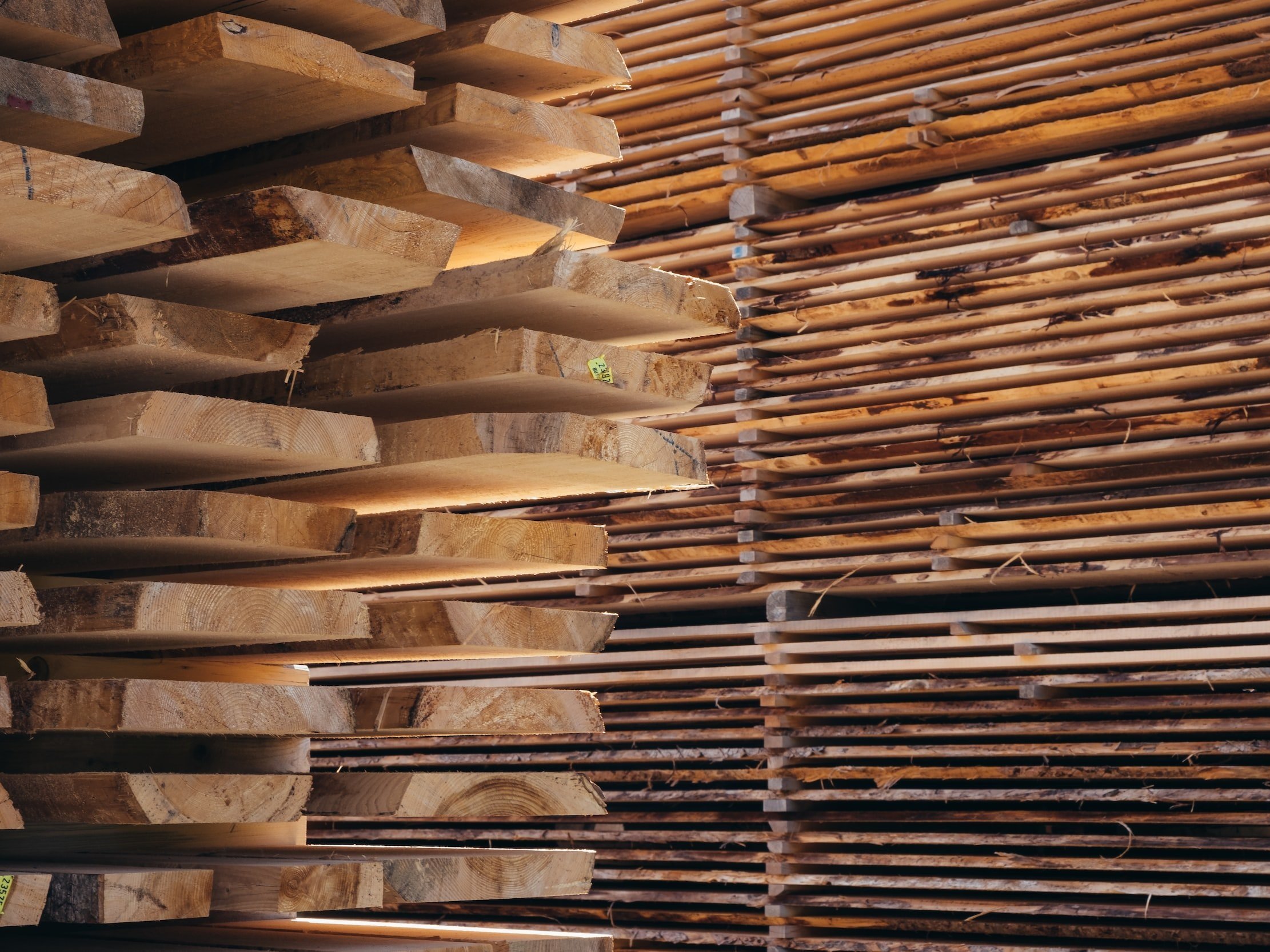 Beech sawn timber